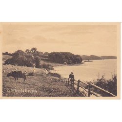 Vejle - Parti fra Fakkegrav - P. 4352