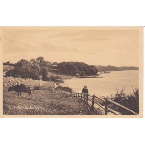 Vejle - Parti fra Fakkegrav - P. 4352