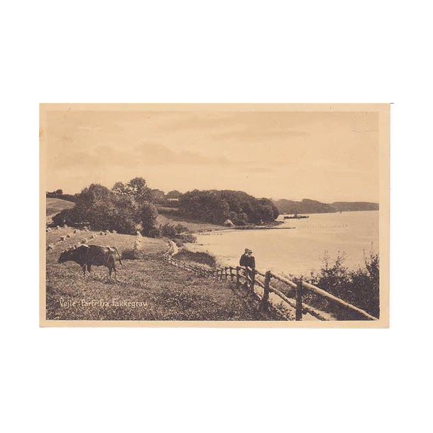 Vejle - Parti fra Fakkegrav - P. 4352