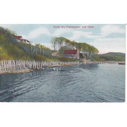 Parti fra Fakkegrav ved Vejle - A.V. 683