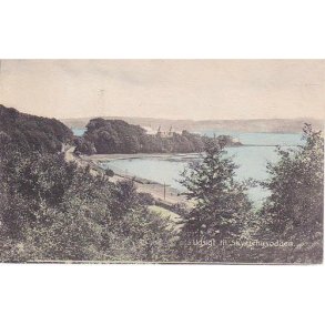 Vejle - Udsigt til Skyttehusodden - H. 117