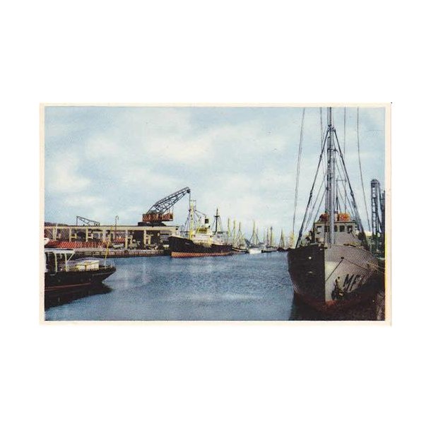 Vejle Havn - St.7