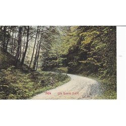 Vejle - Lille Grundet Hulvej - WKF 314