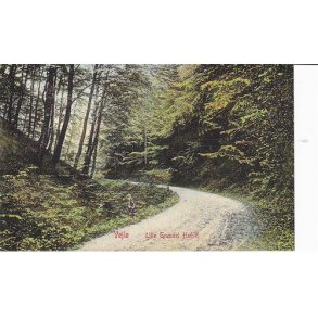 Vejle - Lille Grundet Hulvej - WKF 314