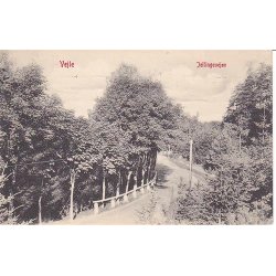 Vejle - Jellingvejen - W. 638