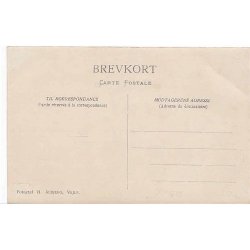 Vejle - Fotokort - H.Albjerg - Vejle u/n