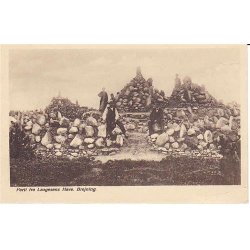 Parti fra Laugesens Have - J. Lund 29 - Ubrugt