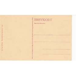 C. Bayer - Nrreport omkring Halvtreserne - A.V.19