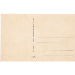 Pein - K&oslash;benhavn - C.A.T. 104