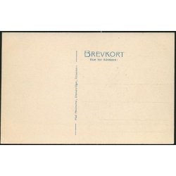 K&oslash;benhavn - Vimmelskaftet - P.H. 113