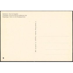 K&oslash;benhavn - Parti fra G&aring;gaden - St. 149101631