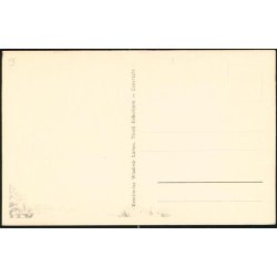 Kbenhavn -Tivolis Hovedindgang - W.L. u/n