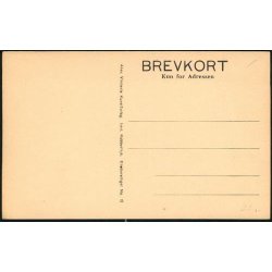 Kbenhavn - Tivolis Indgang - A.V. 12