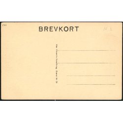 Kbenhavn - Tivolis Indgang - A.V. 30