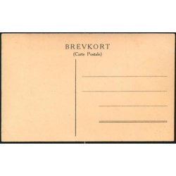 Kbenhavn - Hovedindgangen til Tivoli - u/n