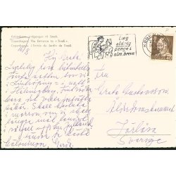 Kbenhavn - Indgangen til Tivoli - R.O. 903