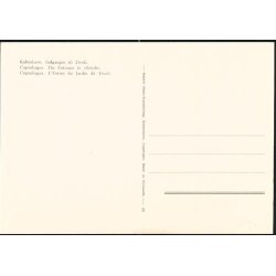 Kbenhavn - Indgangen til Tivoli - R.O. 48