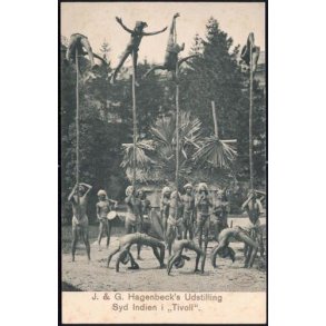 Hagenbecks Udstilling Syd Indien i Tivoli - A_G