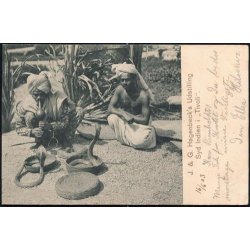 Hagenbecks Udstilling Syd Indien i Tivoli -