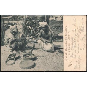 Hagenbecks Udstilling Syd Indien i Tivoli -