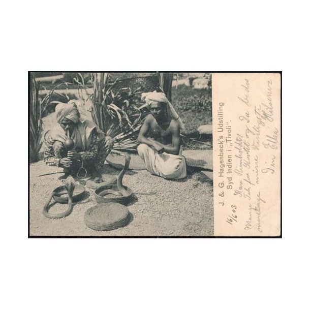 Hagenbecks Udstilling Syd Indien i Tivoli -