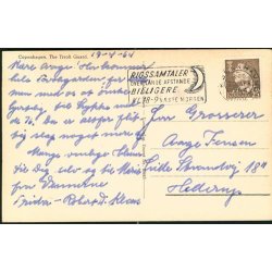 Kbenhavn - Tivoligarden - R.O. 13445