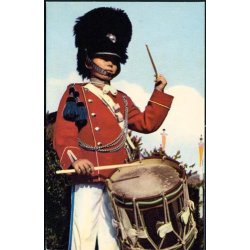 Kbenhavn - Tivoligarden. R.O. 665