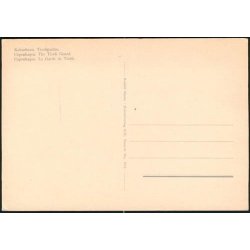 Kbenhavn - Tivoligarden. R.O. 859