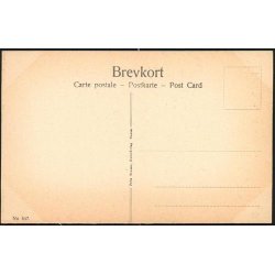 Kbenhavn - Holger Danske i Farvergade - F.B. 647