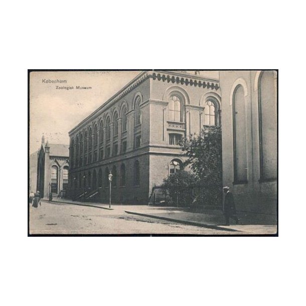 K&oslash;benhavn - Zoologisk Museum - Sk.B.& kf. 2546
