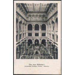 Den store Midterhal - Zoologisk Museum - u/n