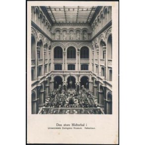 Den store Midterhal - Zoologisk Museum - u/n