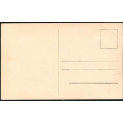 S&oslash;stjerner og S&oslash;pinsvin - Zoologisk Museum - u/n