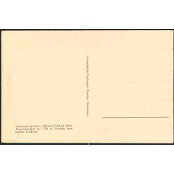 Verdens Kostbareste Konkylie - Zoologisk Museum -