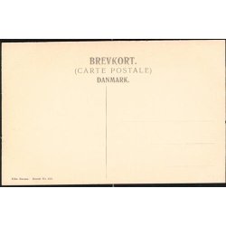 K&oslash;benhavn - Regnegade - F.B. 595