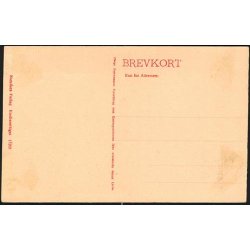 Fra Stormen paa K&oslash;benhavn 1659 - (Stormgade)