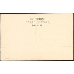 K&oslash;benhavn - Gaardparti fra Store Br&oslash;nsstr&aelig;de. F.B.