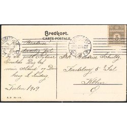 K&oslash;benhavn - Parti ved Dr.Louises Bro - NN 213