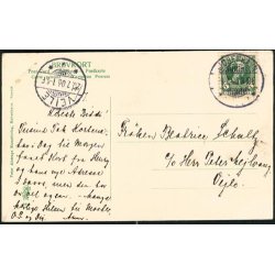 K�benhavn - Maagerne ved Dr.Louises Bro - P.A.