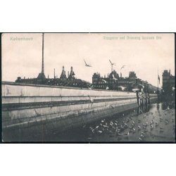 K�benhavn - Maagerne ved Dr.Louises Bro - P.A.