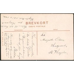 K&oslash;benhavn - Dr.Louises Bro set fra N&oslash;rres&oslash;gade