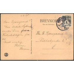 K&oslash;benhavn- Regensgaarden med den gamle Lind - A.V.