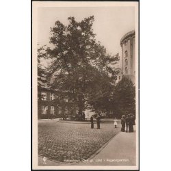 K&oslash;benhavn- Den gamle Lind i Regensgaarden.