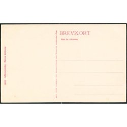 K&oslash;benhavn- K&oslash;bmagergade med Regensen- St 16590