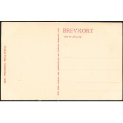 K&oslash;benhavn- K&oslash;bmagergade med Regensen- St 16590