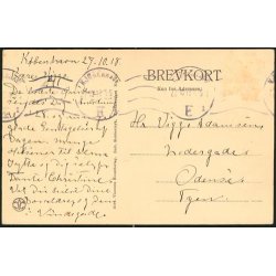 K&oslash;benhavn - Regensgaarden med den gamle Lind.