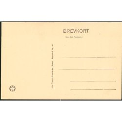 K&oslash;benhavn - Regensgaarden med den gamle Lind.