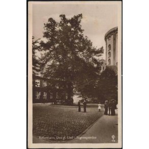 K&oslash;benhavn - Den gamle Lind i Regensgaarden.