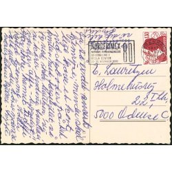 K&oslash;benhavn - Suensons Monument - C.O. 100