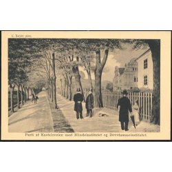 Parti af Kastelsveien med Blindeinstitutet . A.V.